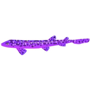 Purple Coral Cat Shark